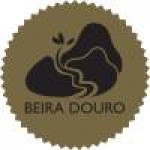 BEIRA DOURO - Associação de Desenvolvimento do Vale do Douro