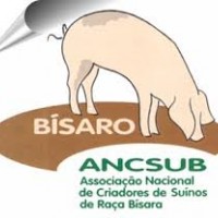 ANCSUB - Associação Nacional de Criadores de Suínos da Raça Bísara