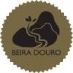 BEIRA DOURO - Associação de Desenvolvimento do Vale do Douro