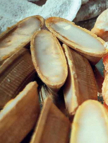 Amarantinos