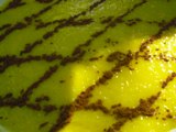 Arroz Doce