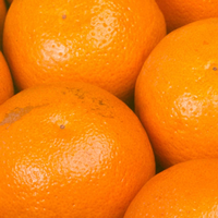 Colóquio – Laranja do Algarve
