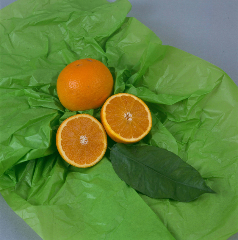 Laranja do Douro