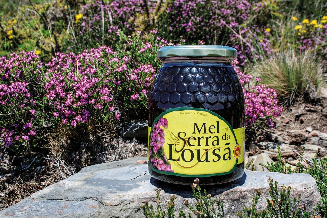Mel da Serra da Lousã