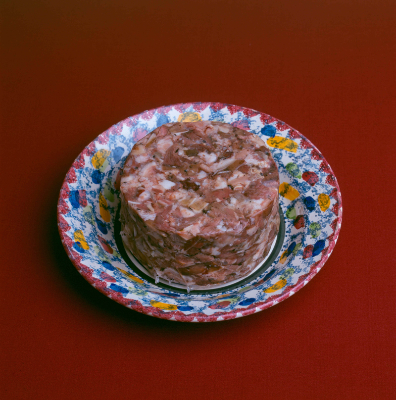 Cabeça de Xara