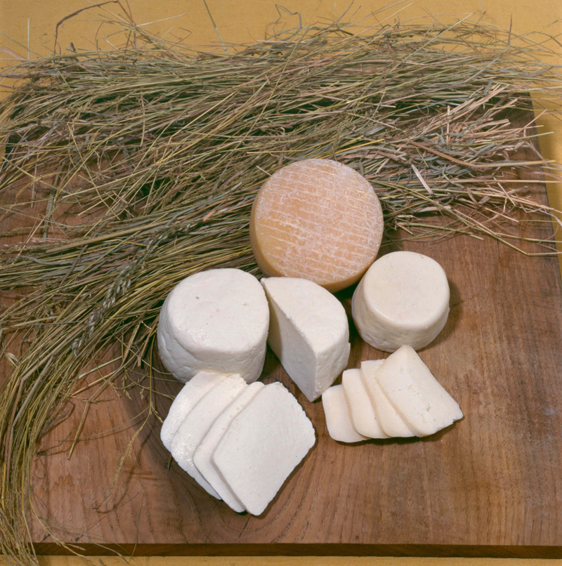 Queijo de Cabra do Algarve