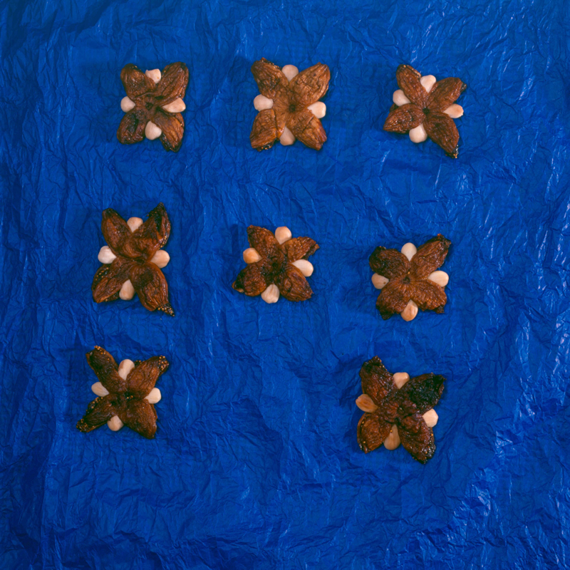 Estrelas de Figo